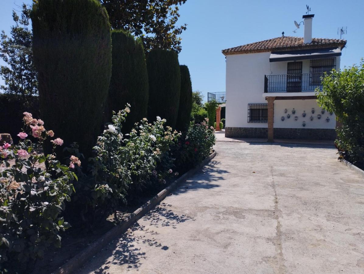 格拉纳达Vivienda Rural Huerta Del Medio别墅 外观 照片